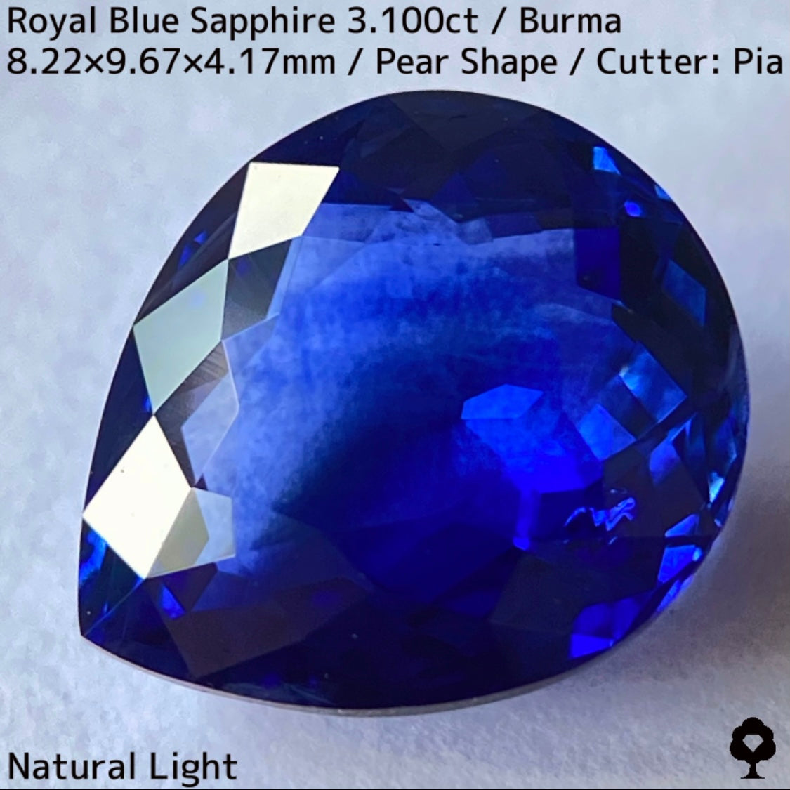ビルマ産ロイヤルブルーサファイア3.100ct★ふっくらとした可愛いペアシェイプに仕上げられた趣ある超美色ロイヤルブルー