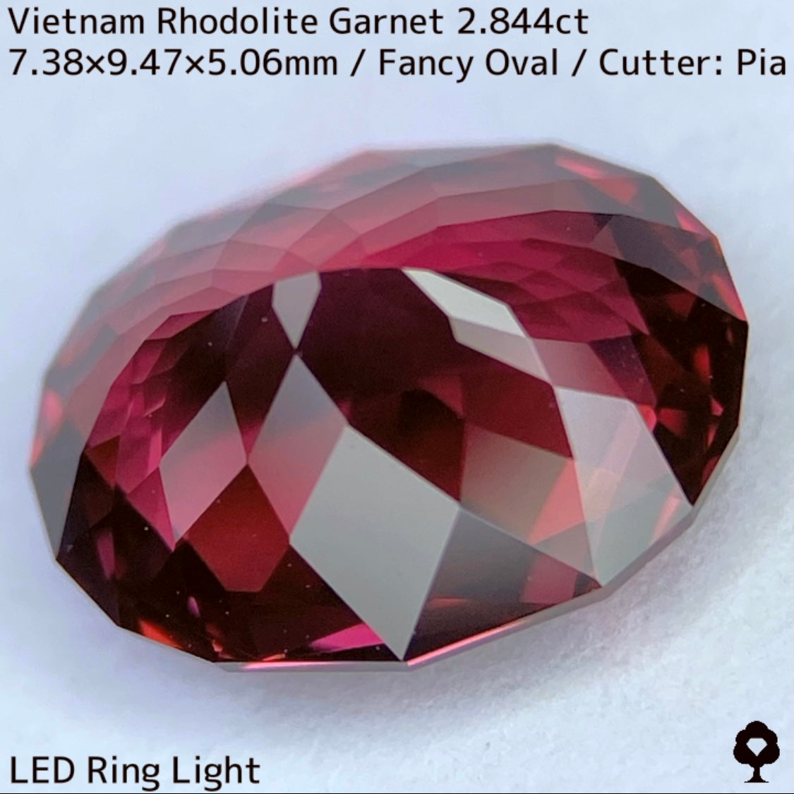 ベトナム産ロードライトガーネット2.844ct★ロードライトを愛する大御所がハマったベトナム産超美色