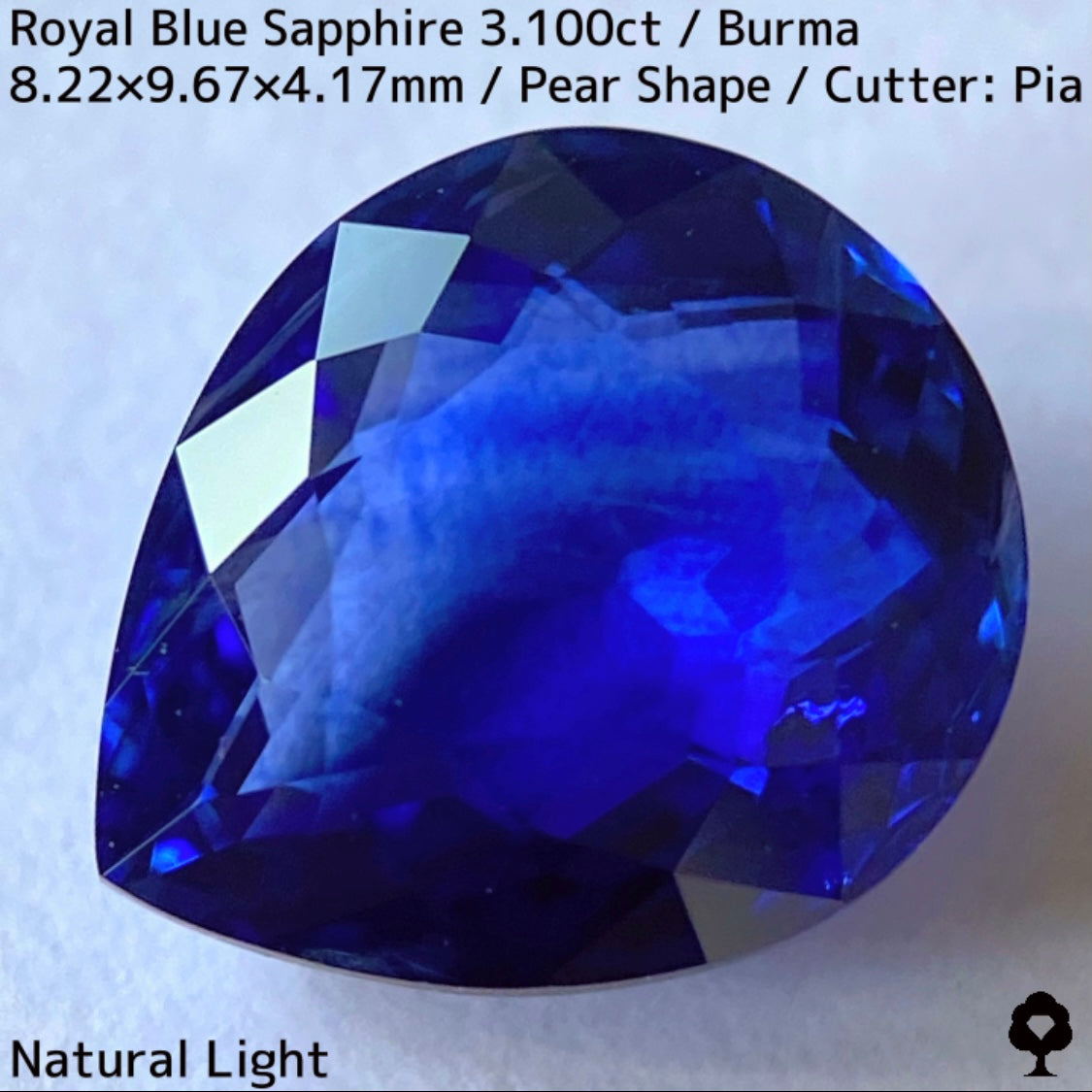 ビルマ産ロイヤルブルーサファイア3.100ct★ふっくらとした可愛いペアシェイプに仕上げられた趣ある超美色ロイヤルブルー