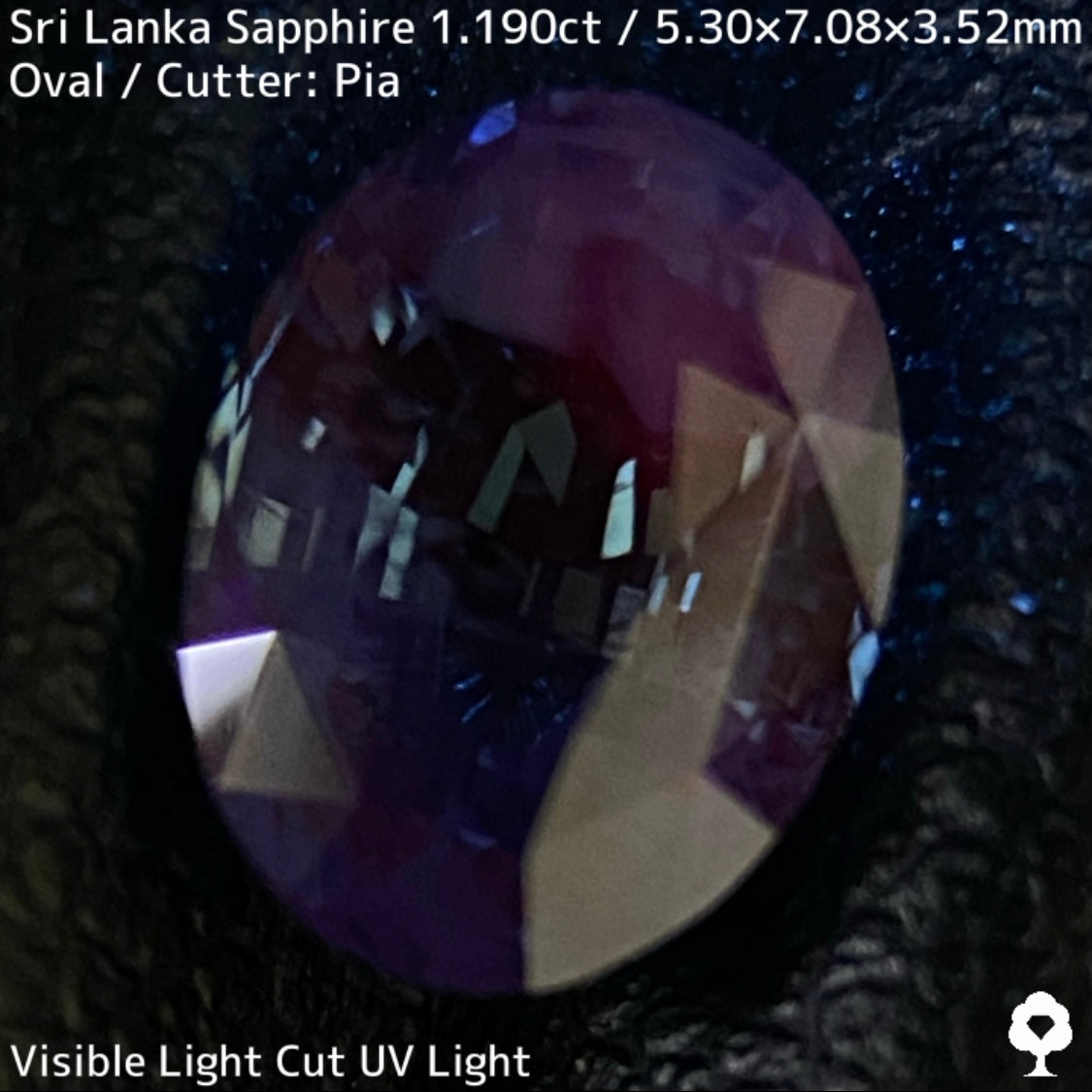 スリランカ産サファイア1.190ct★美しいブルーとシルクが海を切り取ったような逸品