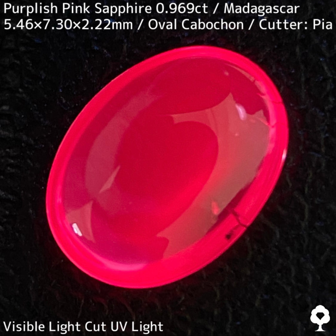 マダガスカル産ピンクサファイア0.969ct★美しい石質の美ピンクに音符のような蝶のようなインクルが可愛い