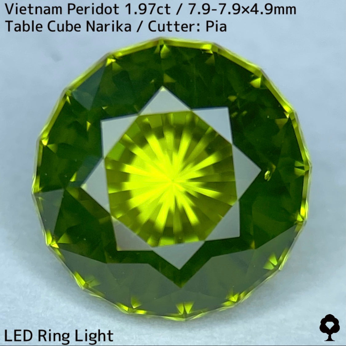 ベトナム産ペリドット1.97ct★さりげなくリリーパッドとシルキーさのある煌めき発色抜群のナリカーカット★