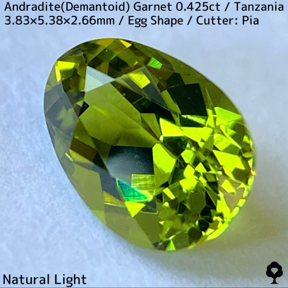 タンザニア産アンドラダイト(デマントイド)ガーネット0.425ct★程よい濃さの美グリーンから煌めき止まらないキュートなエッグシェイプ