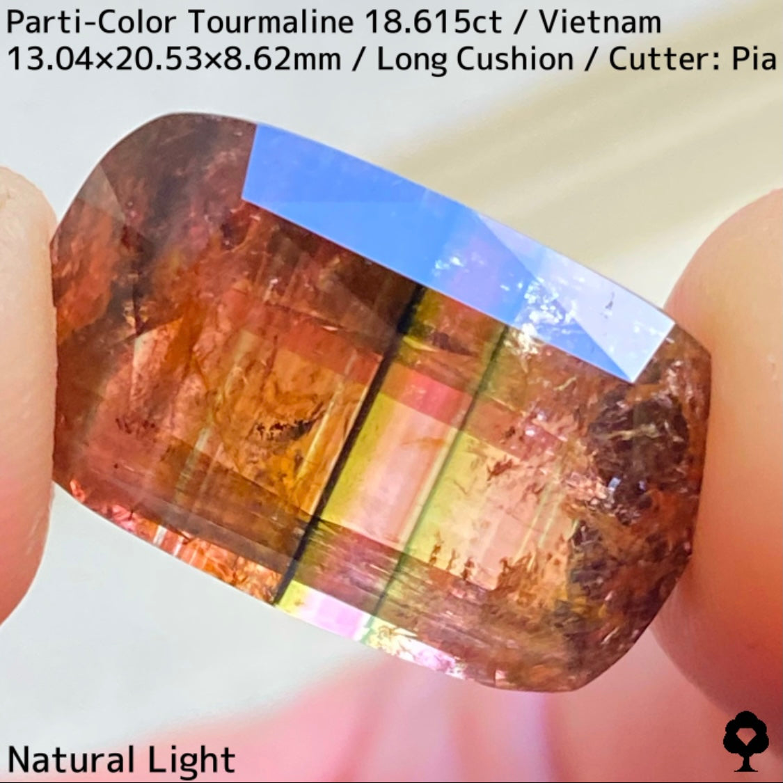 ベトナム産パーティカラートルマリン18.615ct★金屏風桜と夜桜を一石で楽しめる趣深いベトナム巨石