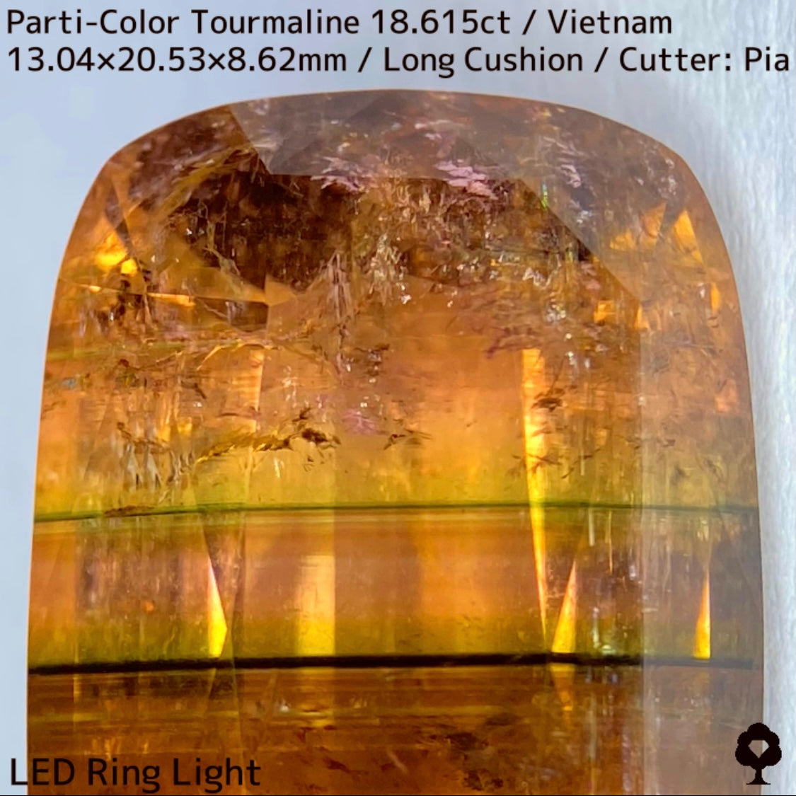 ベトナム産パーティカラートルマリン18.615ct★金屏風桜と夜桜を一石で楽しめる趣深いベトナム巨石