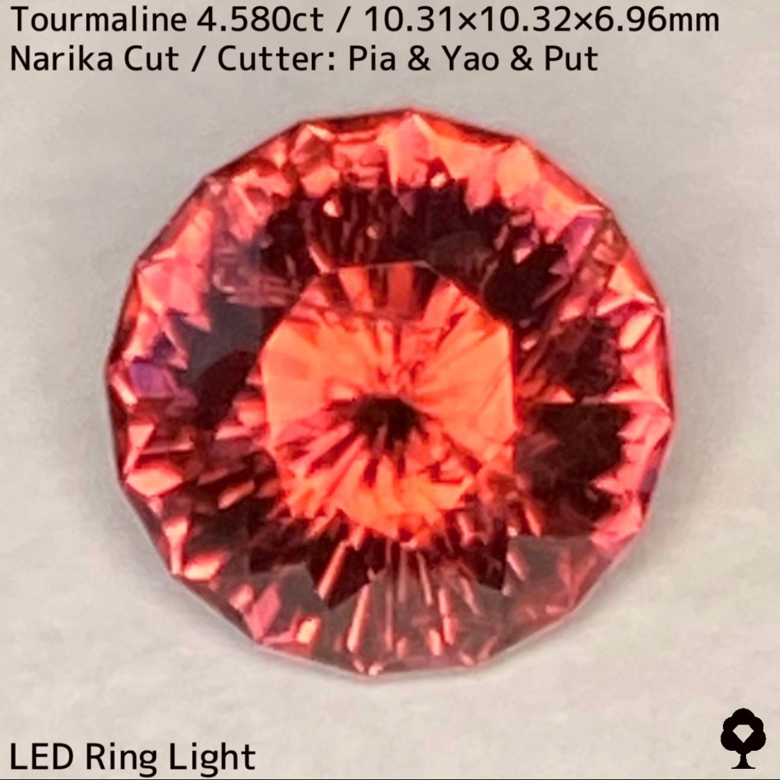 オレンジとルベライトカラー融合した美色に和の趣感じるインクル★トルマリン4.580ct