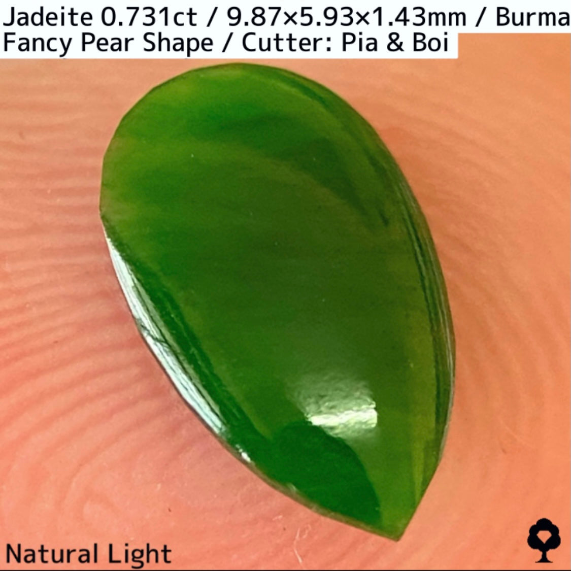 翡翠0.731ct★GTJ創業者大御所のセレクトのお手本翡翠に細やかな縁取り