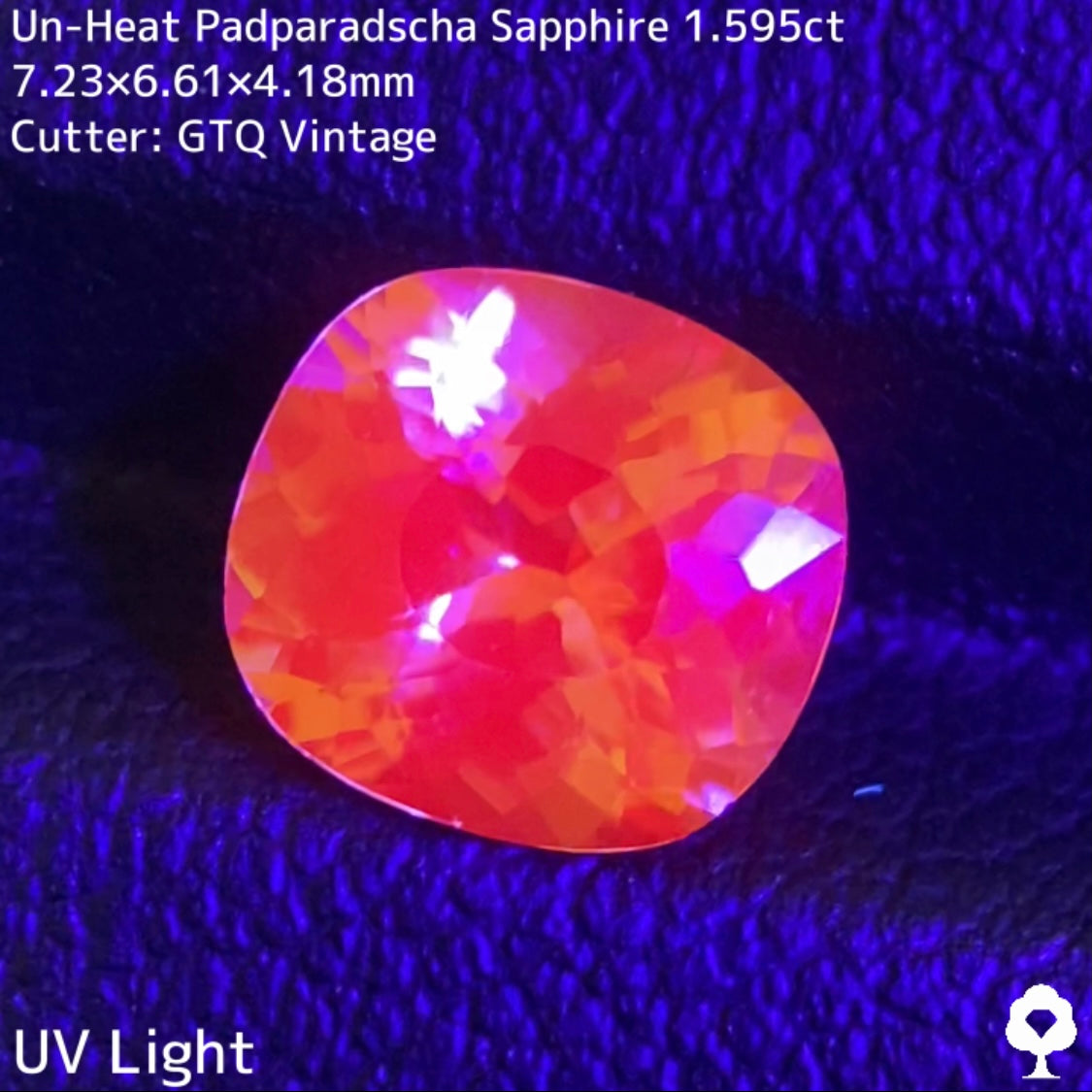 非加熱パパラチァサファイア1.595ct★探しても見つからない1.5ctアップのオレンジ系美色ヴィンテージ作品