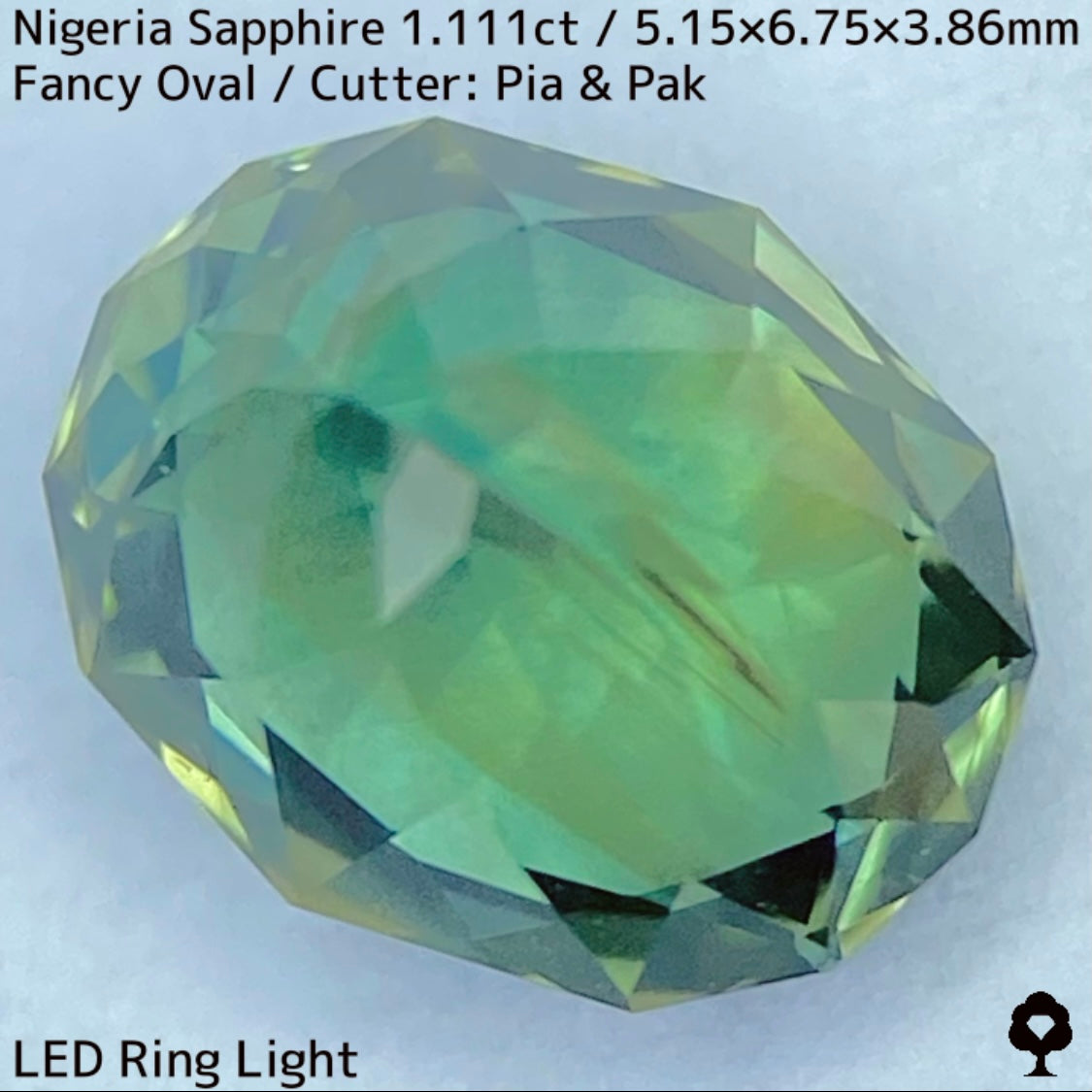 ナイジェリア産サファイア1.111ct★ゴールドのラインが美しいたまらなく面白いシルキーブルーイッシュグリーン