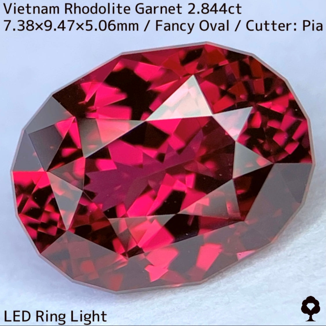 ベトナム産ロードライトガーネット2.844ct★ロードライトを愛する大御所がハマったベトナム産超美色