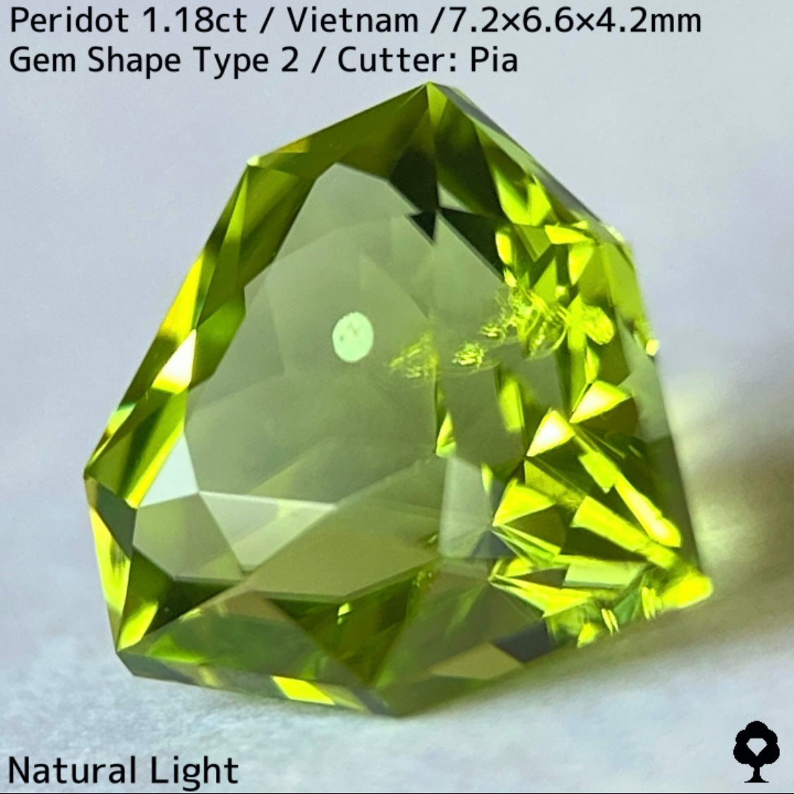 【ご当選者さま専用】ベトナム産ペリドット1.18ct★リリーパッド入り美色結晶の盾のような宝石形タイプ2