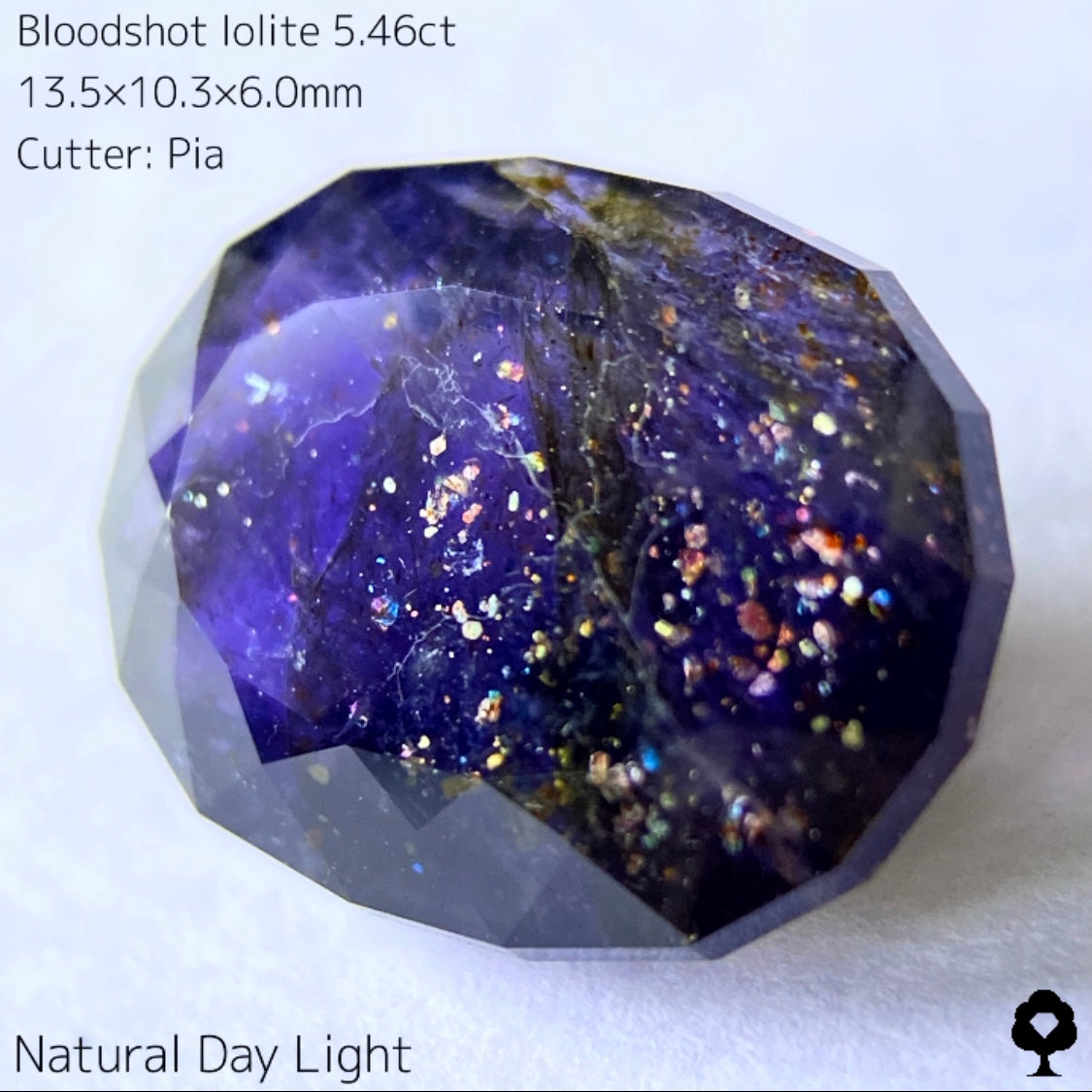 濃厚パープルに広がるカラフルな宇宙とブラッドショット★ブラッドショットアイオライト5.46ct