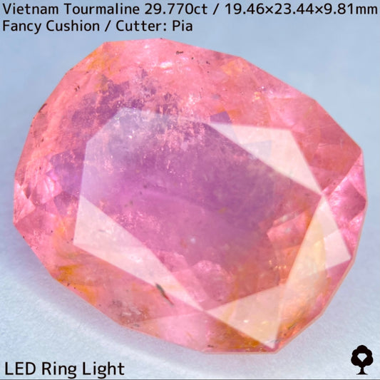 ベトナム産トルマリン29.770ct★華やかなベトナム産らしい桜満開巨石