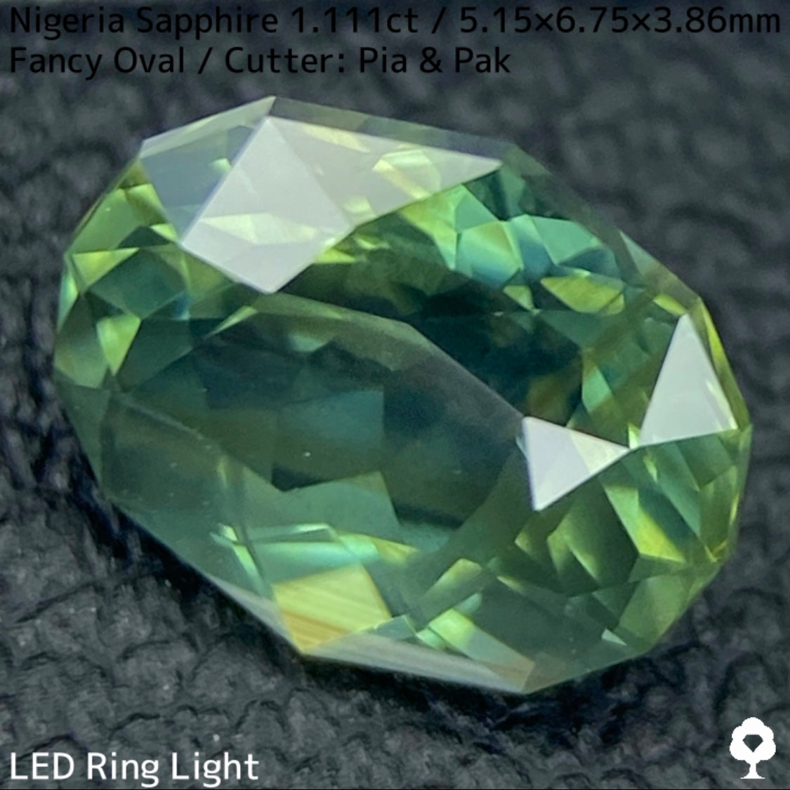 ナイジェリア産サファイア1.111ct★ゴールドのラインが美しいたまらなく面白いシルキーブルーイッシュグリーン