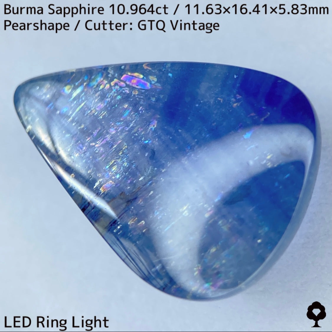 ビルマ産サファイア10.964ct★煌めく虹インクルと実はキャッツが出るなど面白さ詰まった秘蔵品