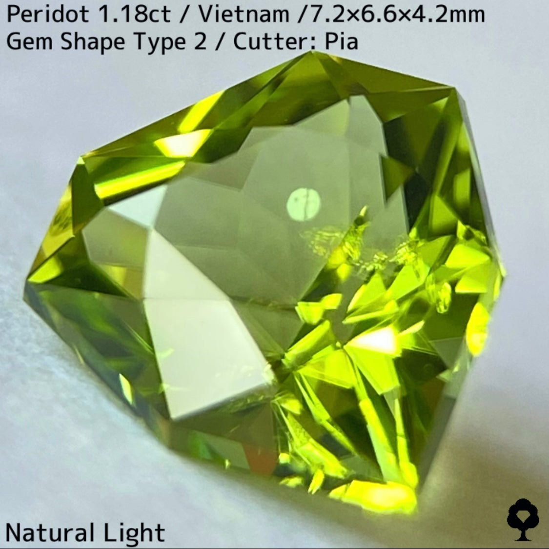 【ご当選者さま専用】ベトナム産ペリドット1.18ct★リリーパッド入り美色結晶の盾のような宝石形タイプ2