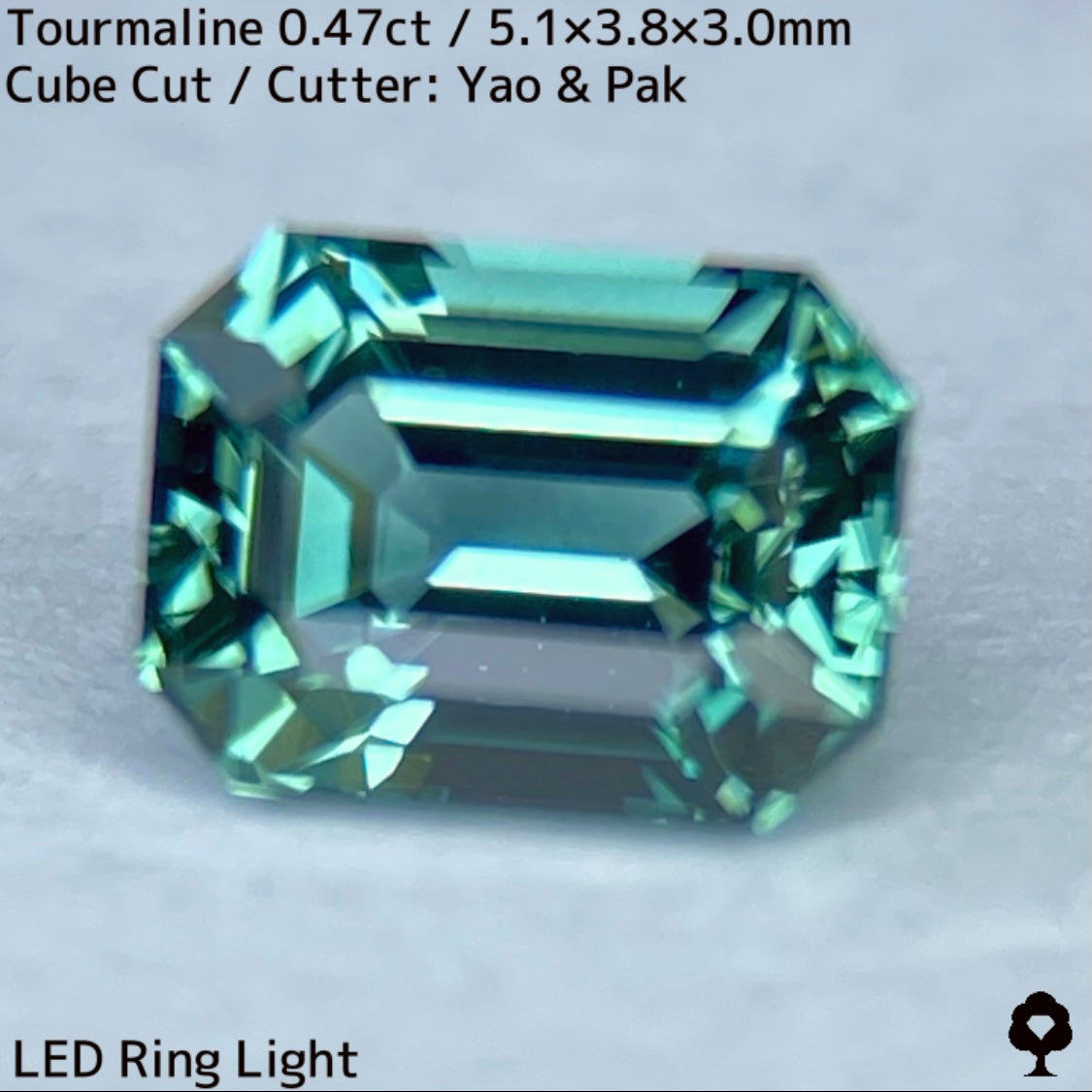 明るく青みの強い希少ミントカラーの可愛い美結晶オクタゴン★トルマリン0.47ct