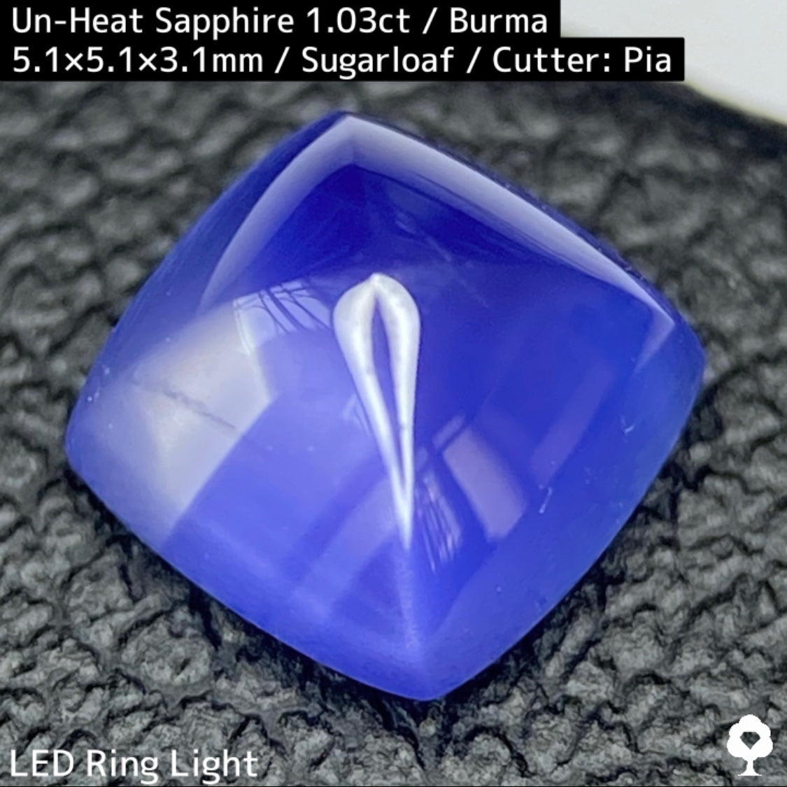 ビルマ産非加熱サファイア1.03ct★カット石品質の希少な結晶をあえてカボションにした可愛すぎるシュガーローフ
