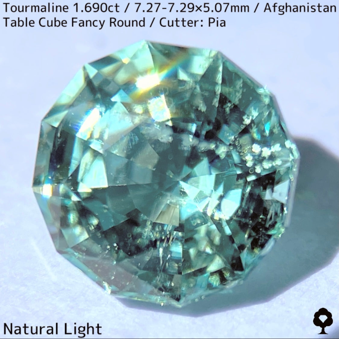 トルマリン1.690ct★美色ミントグリーンの煌めきがギラつくスパイダーカット