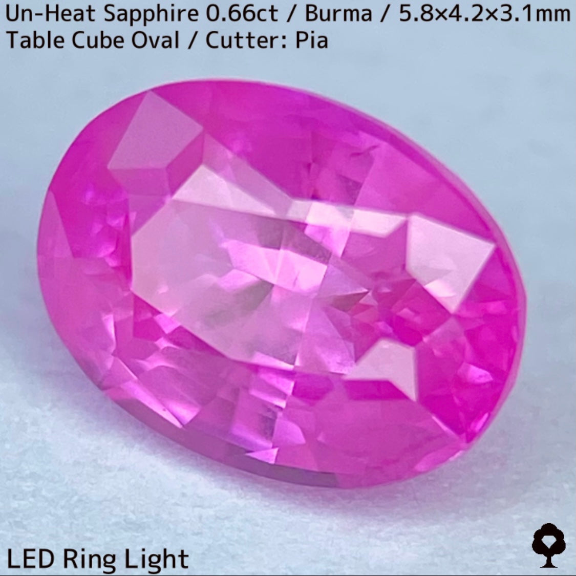 【お客さま専用】ビルマ産非加熱サファイア0.66ct★クリアさもあるシルキーピンクの可愛い強蛍光オーバル