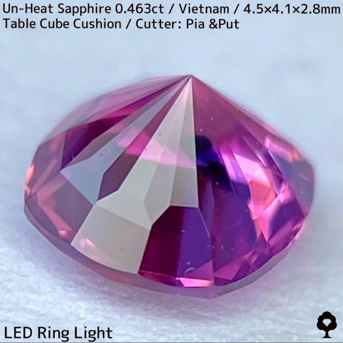 ベトナム産非加熱サファイア0.463ct★ベトナム産の魅力がたまりに詰まったウィンザー産のような美パープリッシュピンク