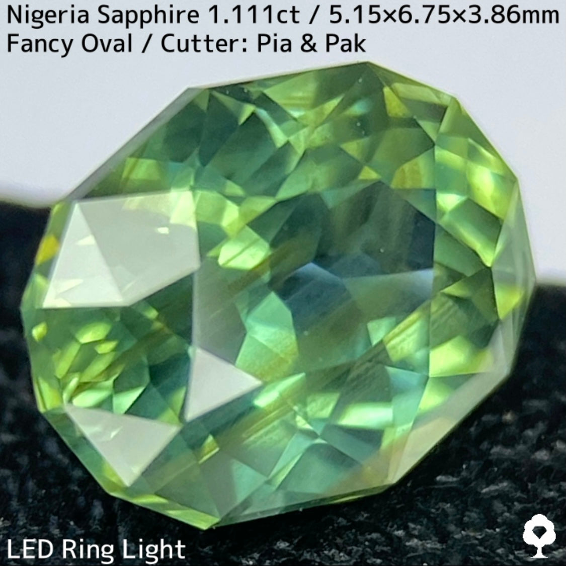 ナイジェリア産サファイア1.111ct★ゴールドのラインが美しいたまらなく面白いシルキーブルーイッシュグリーン