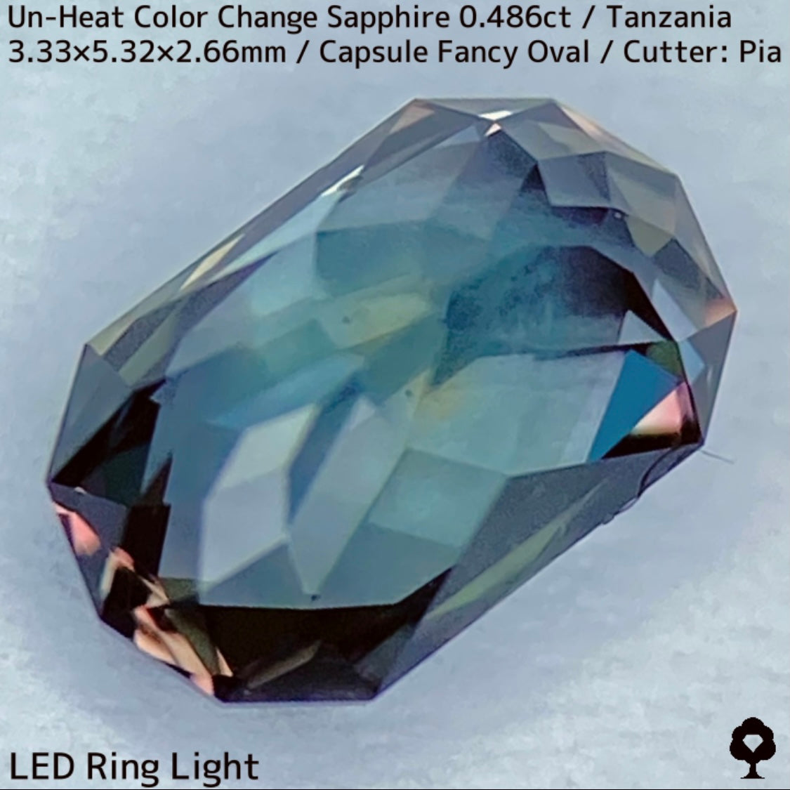 タンザニア産非加熱カラーチェンジサファイア0.486ct★深みの中に潜む多色感とゴールドシルクの銀河広がる