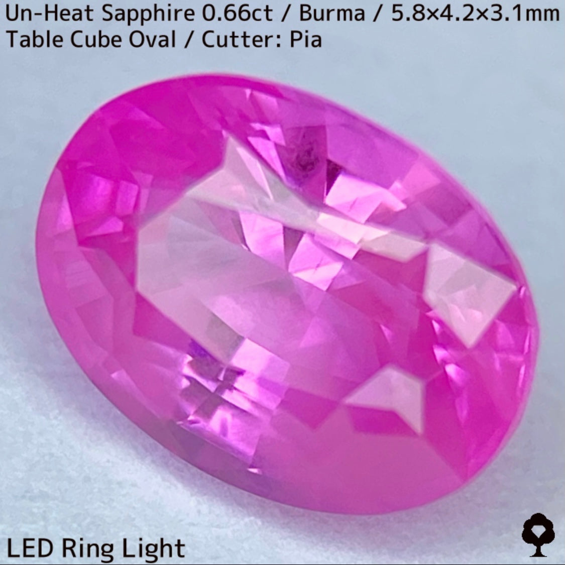 【お客さま専用】ビルマ産非加熱サファイア0.66ct★クリアさもあるシルキーピンクの可愛い強蛍光オーバル