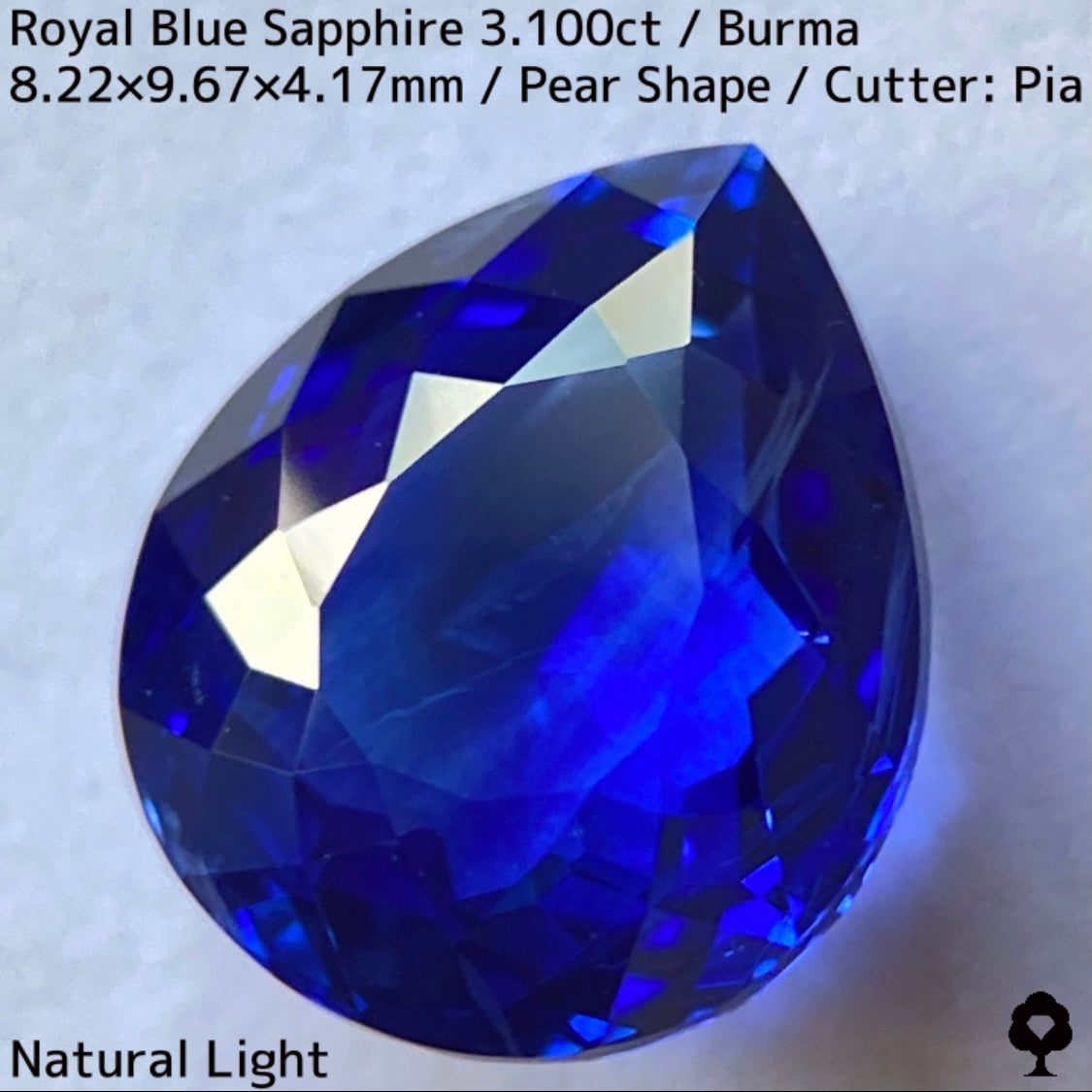 ビルマ産ロイヤルブルーサファイア3.100ct★ふっくらとした可愛いペアシェイプに仕上げられた趣ある超美色ロイヤルブルー