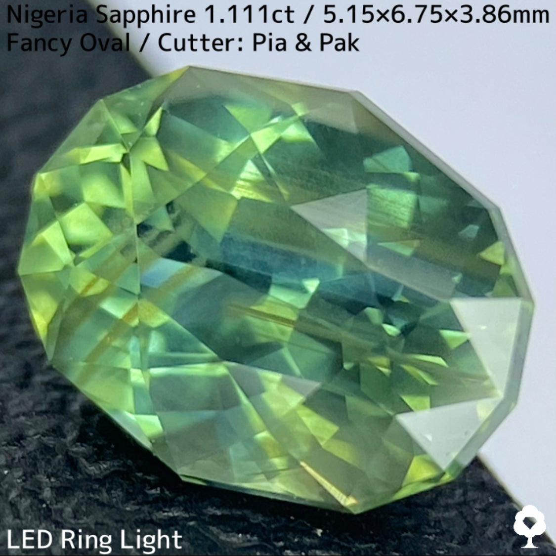 ナイジェリア産サファイア1.111ct★ゴールドのラインが美しいたまらなく面白いシルキーブルーイッシュグリーン