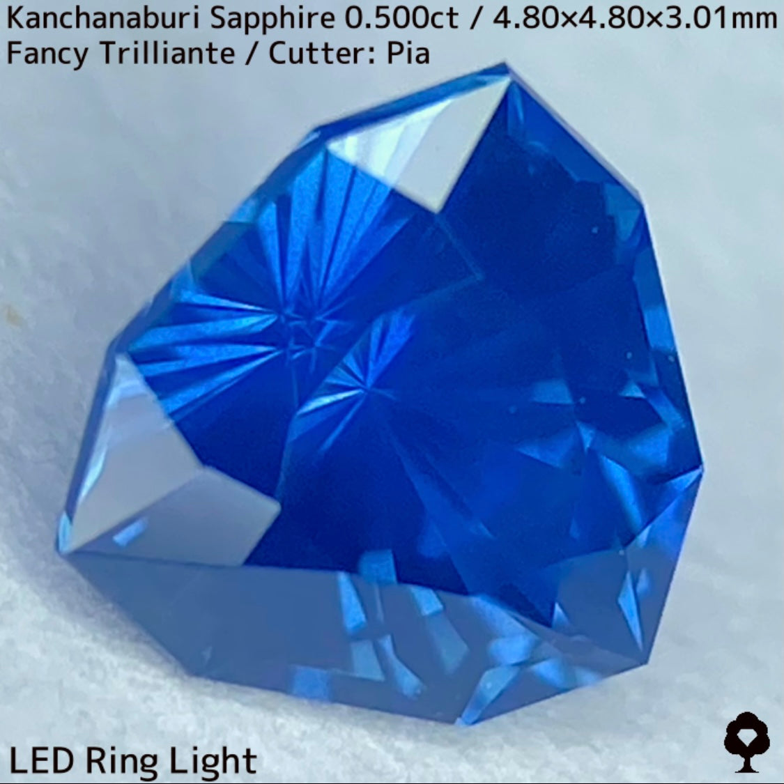 【GW特別企画★30%まほチケキャッシュバック】カンチャナブリー産サファイア0.500ct★シルキーでグリニッシュなカンチャブルーから鋭いナリカーの煌めき