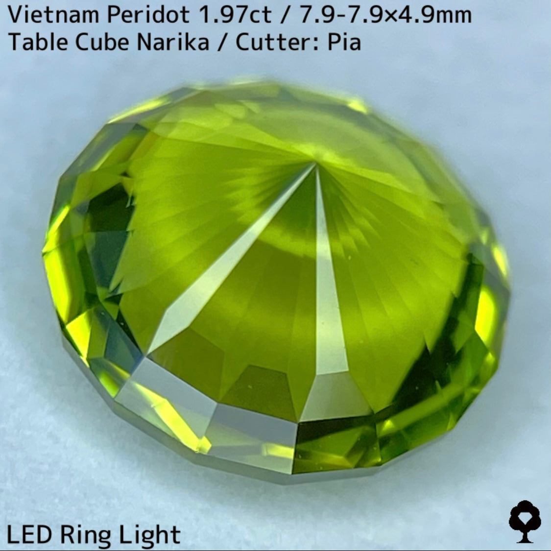 ベトナム産ペリドット1.97ct★さりげなくリリーパッドとシルキーさのある煌めき発色抜群のナリカーカット★