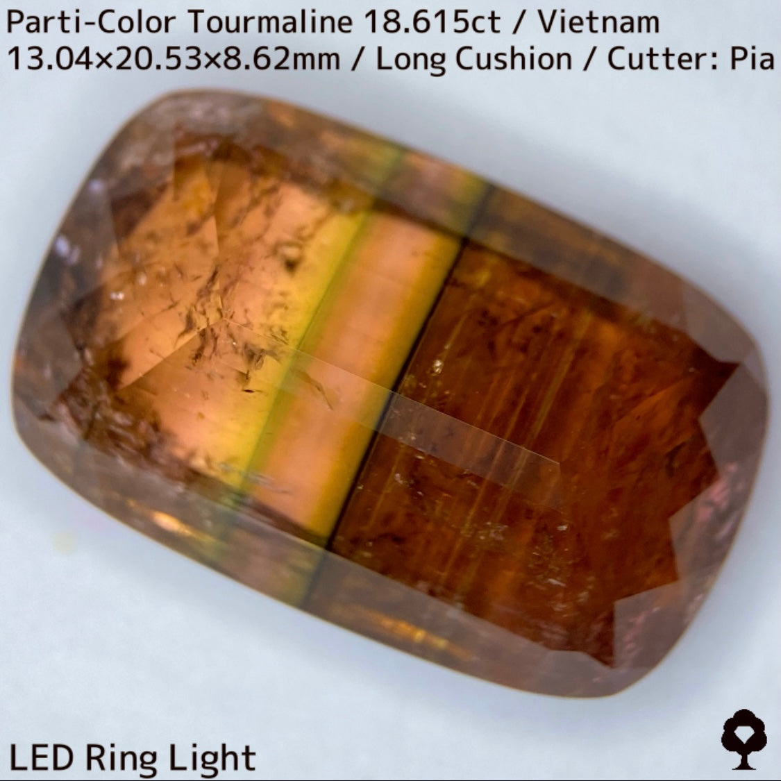 ベトナム産パーティカラートルマリン18.615ct★金屏風桜と夜桜を一石で楽しめる趣深いベトナム巨石