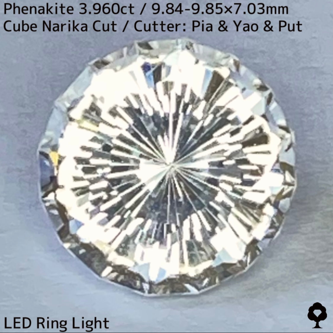 粉雪の舞う雪景色のような凛とした美しさの大粒レアストーンナリカーカット★フェナカイト3.960ct