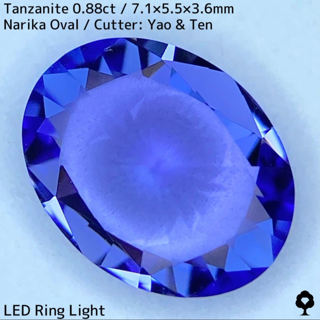 タンザナイト0.88ct★スタンダードオーバルにナリカーが映えるライラックとブルーのキレイなカラー