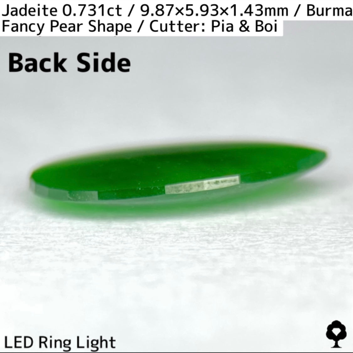 翡翠0.731ct★GTJ創業者大御所のセレクトのお手本翡翠に細やかな縁取り