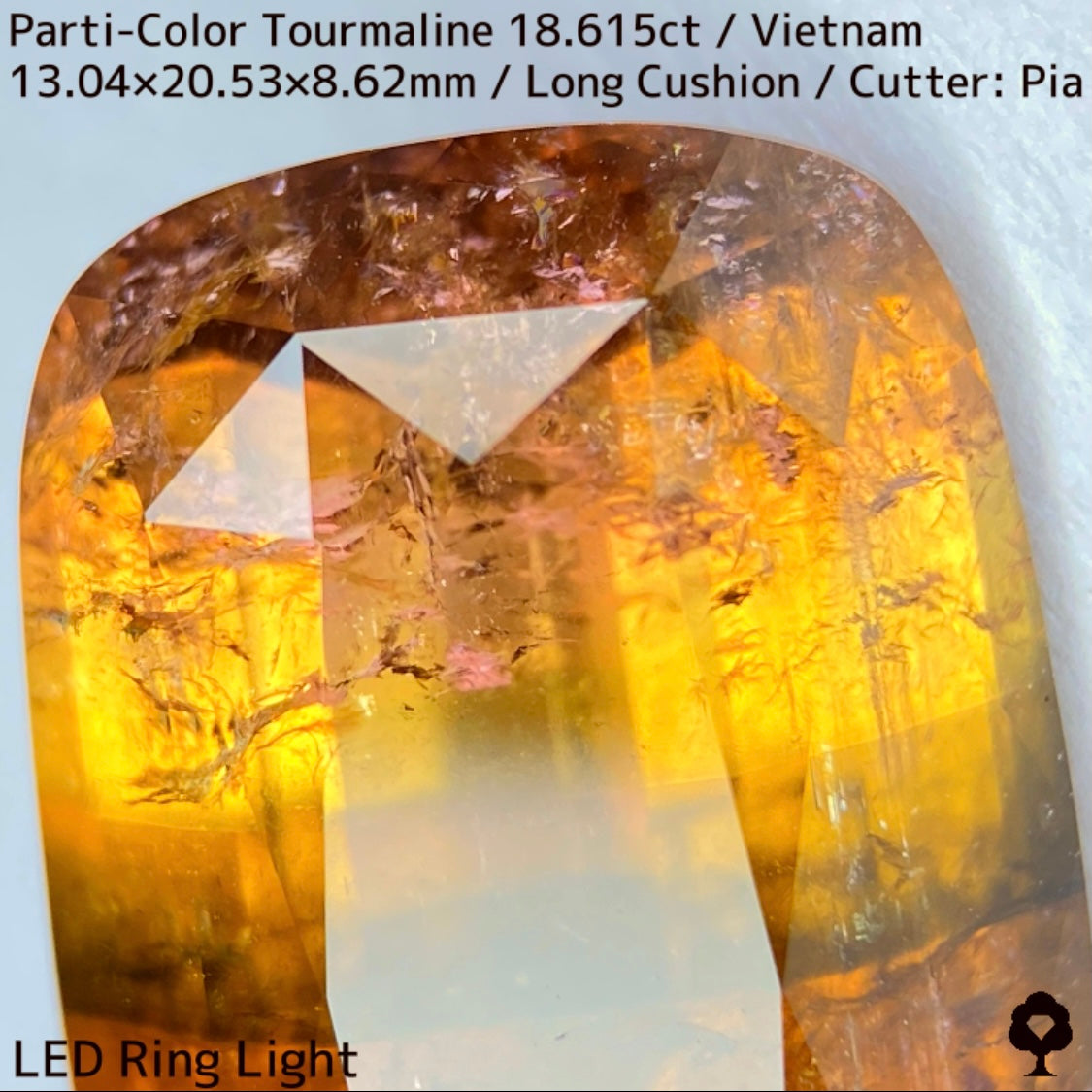 ベトナム産パーティカラートルマリン18.615ct★金屏風桜と夜桜を一石で楽しめる趣深いベトナム巨石