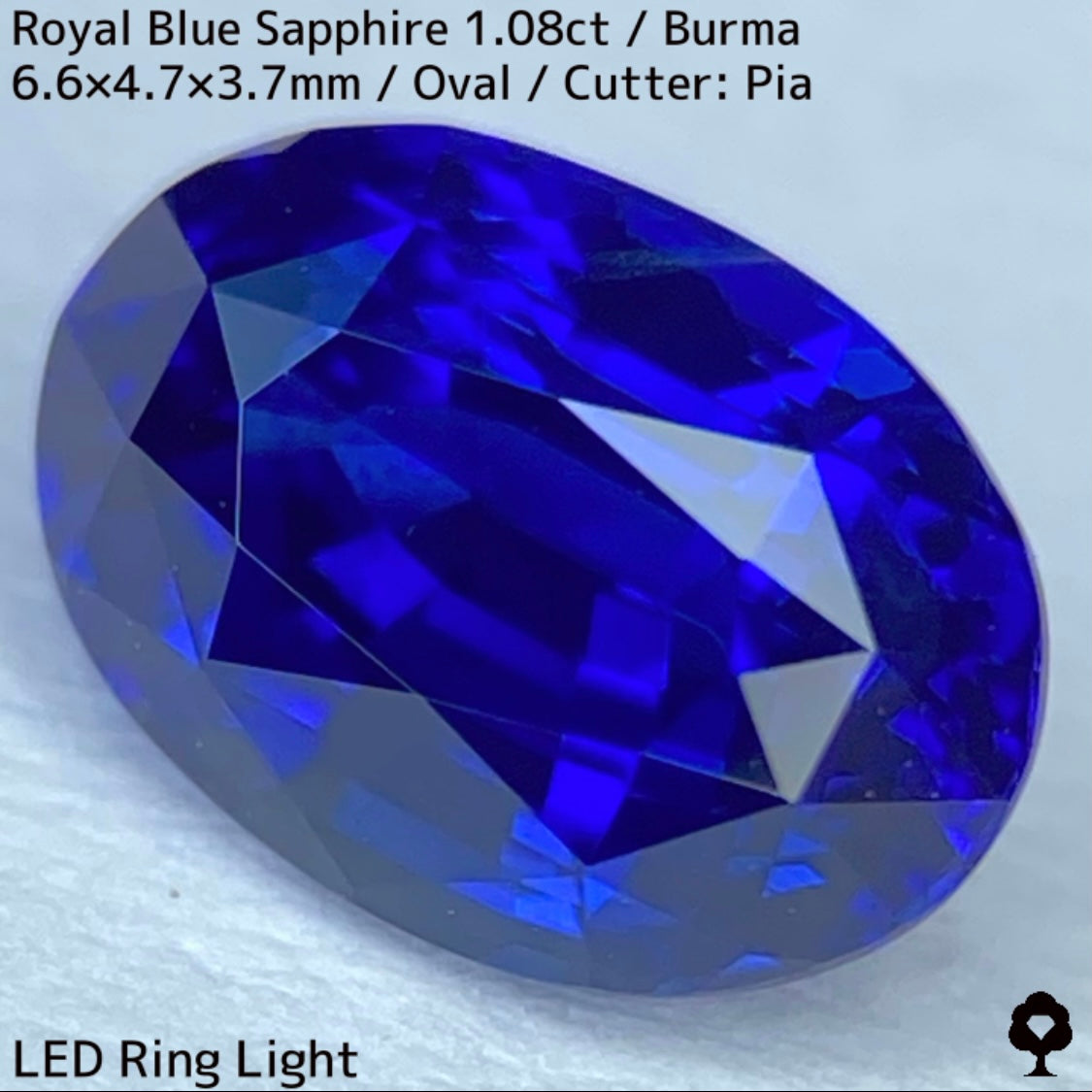 ビルマ産ロイヤルブルーサファイア1.08ct★濃厚だけど暗くない最高の色合いの1ctアップ美結晶ロイヤル