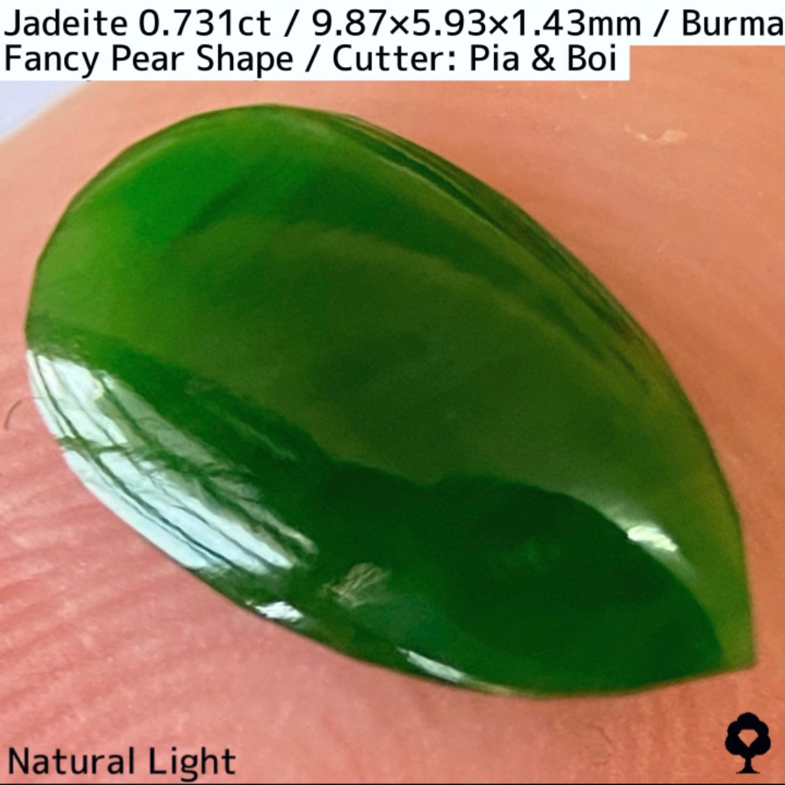 翡翠0.731ct★GTJ創業者大御所のセレクトのお手本翡翠に細やかな縁取り