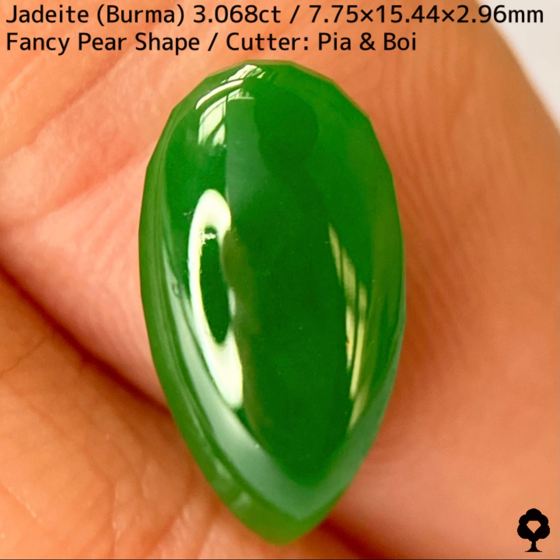 翡翠3.068ct★マスターストーンと言える濃色美グリーンのさりげなく輪郭が縁取られたツヤツヤファンシーペアシェイプ