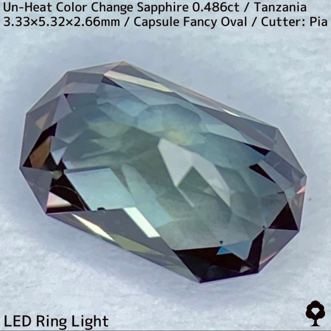 タンザニア産非加熱カラーチェンジサファイア0.486ct★深みの中に潜む多色感とゴールドシルクの銀河広がる