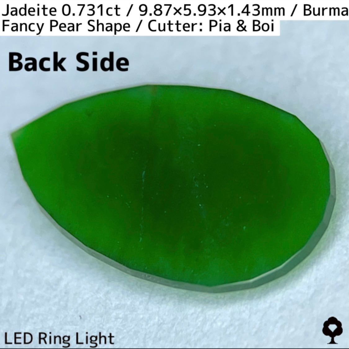 翡翠0.731ct★GTJ創業者大御所のセレクトのお手本翡翠に細やかな縁取り