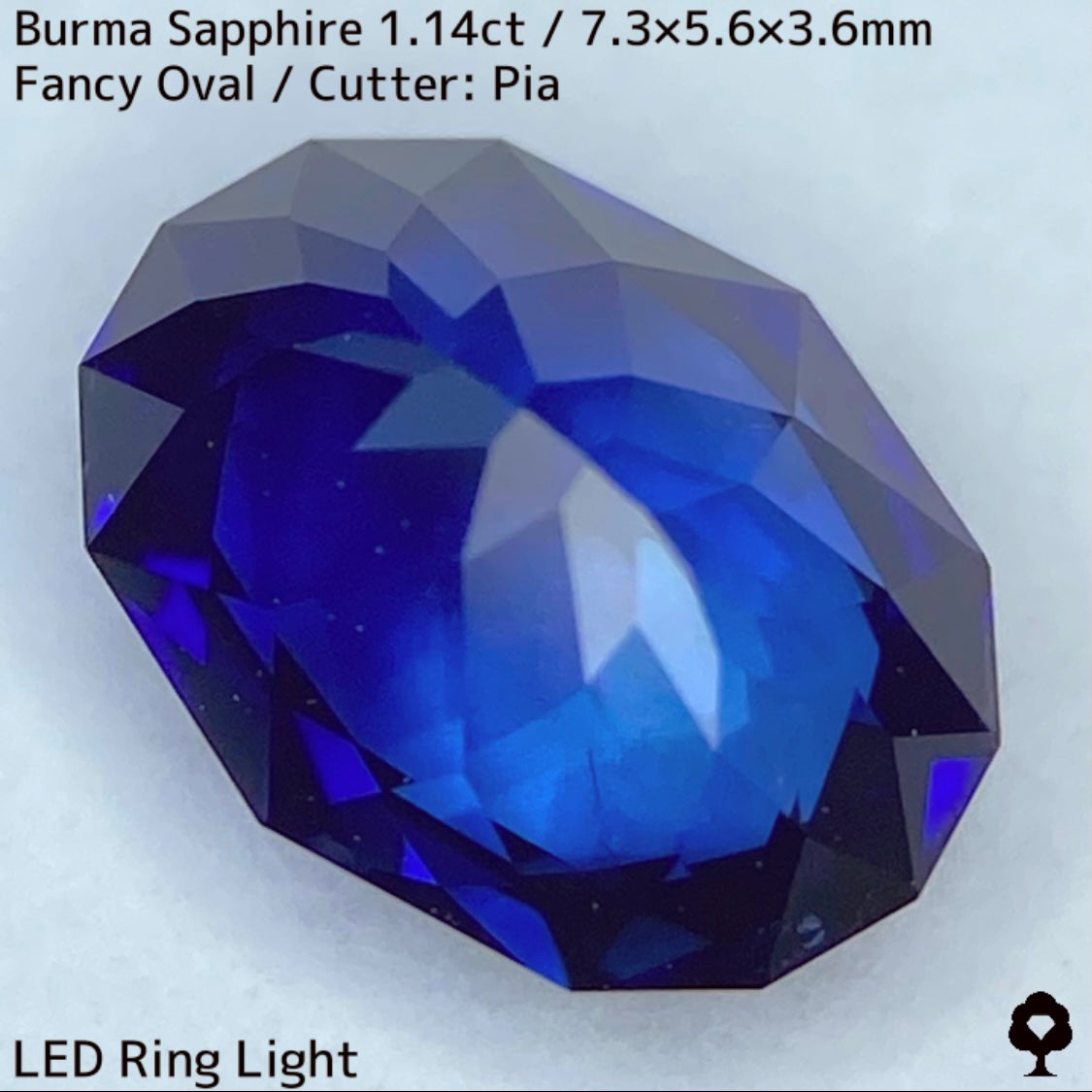 ビルマ産サファイア1.149ct★ロイヤル・コーン・ティールの3種のブルーが混ざり合うとてつもない美色
