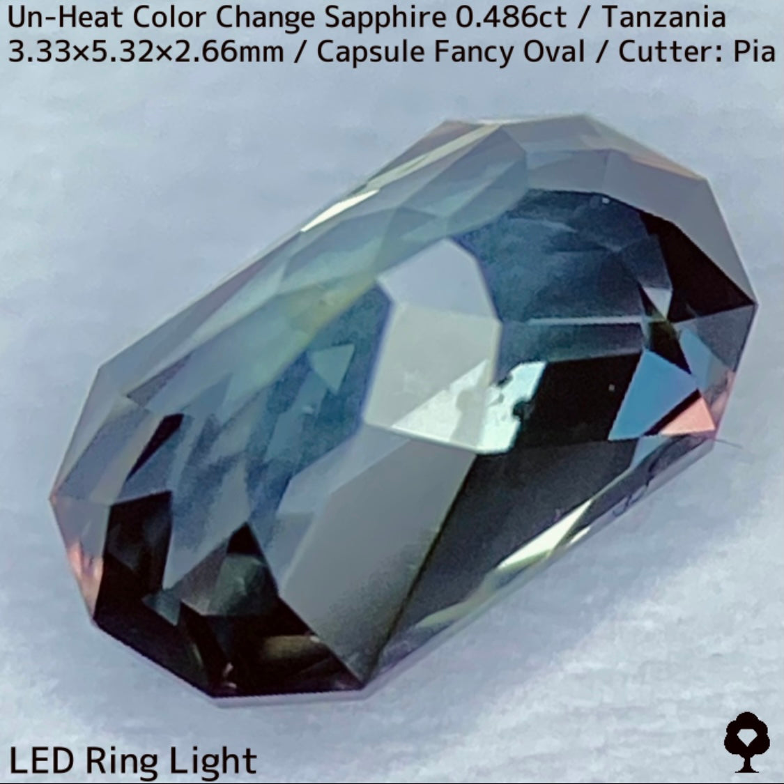 タンザニア産非加熱カラーチェンジサファイア0.486ct★深みの中に潜む多色感とゴールドシルクの銀河広がる