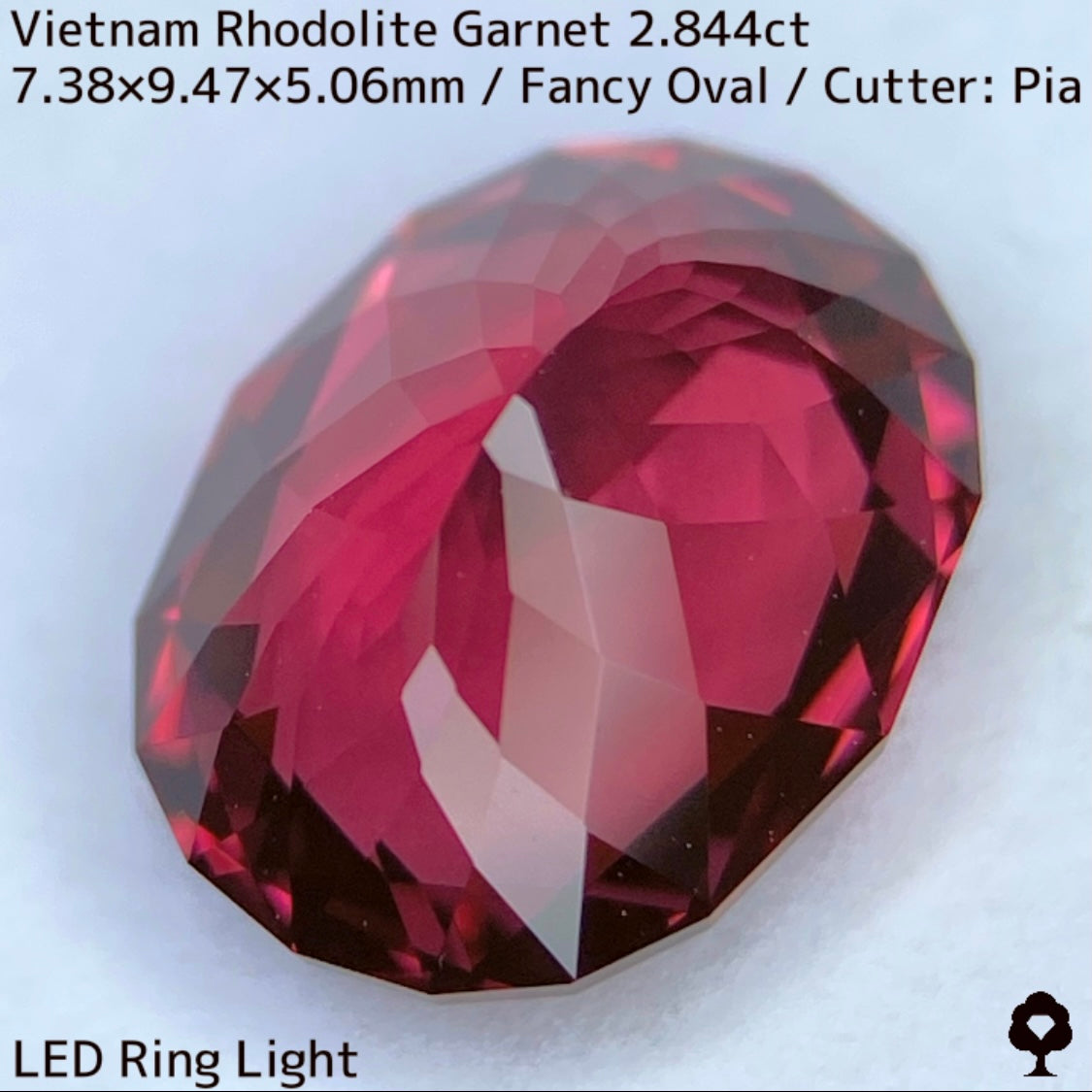 ベトナム産ロードライトガーネット2.844ct★ロードライトを愛する大御所がハマったベトナム産超美色