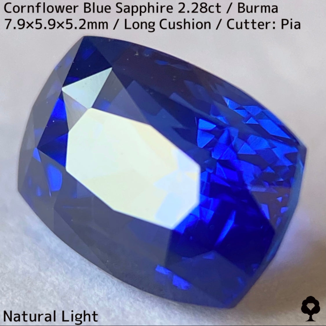 ビルマ産コーンフラワーブルーサファイア2.28ct★シルキー感も色合いもプロポーションも最高の希少ビルマ産