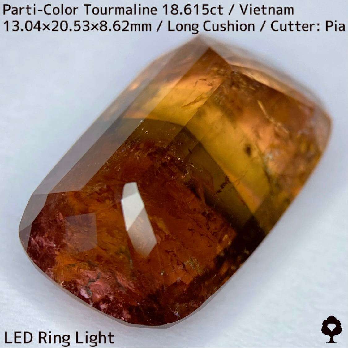 ベトナム産パーティカラートルマリン18.615ct★金屏風桜と夜桜を一石で楽しめる趣深いベトナム巨石