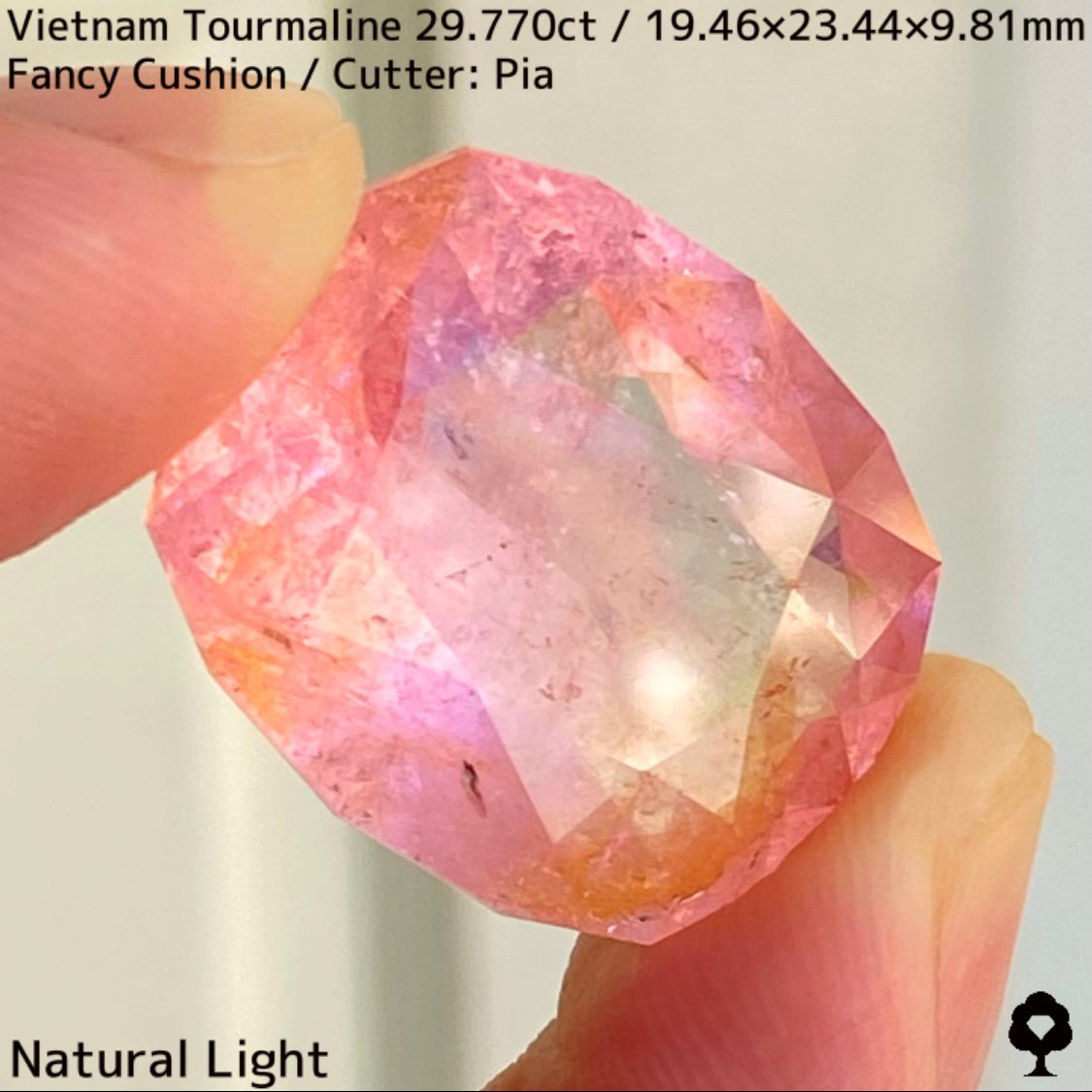 ベトナム産トルマリン29.770ct★華やかなベトナム産らしい桜満開巨石