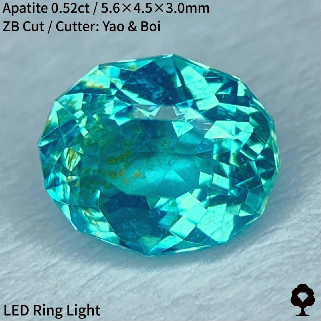 ネオン感あるマリンブルーに金木犀のようなインクルージョン★アパタイト0.52ct