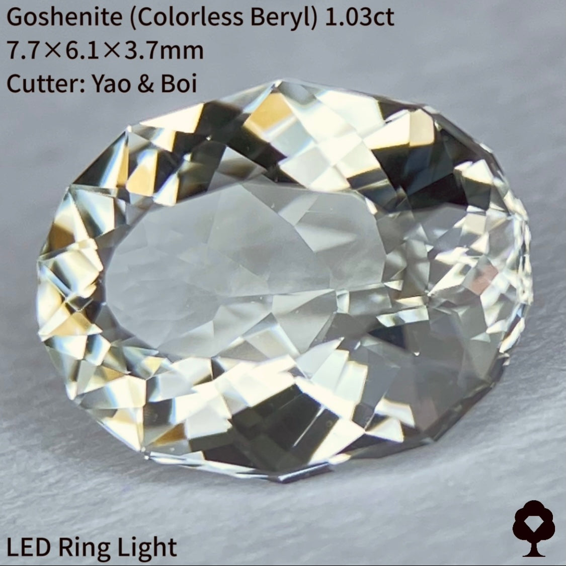 【ご当選者さま専用】勝手にチャットプレキャン🎁🙏ゴッシェナイト1.03ct 2023.11.16